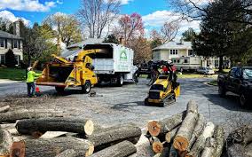 Best Utility Line Clearance  in Hartsdale, NY